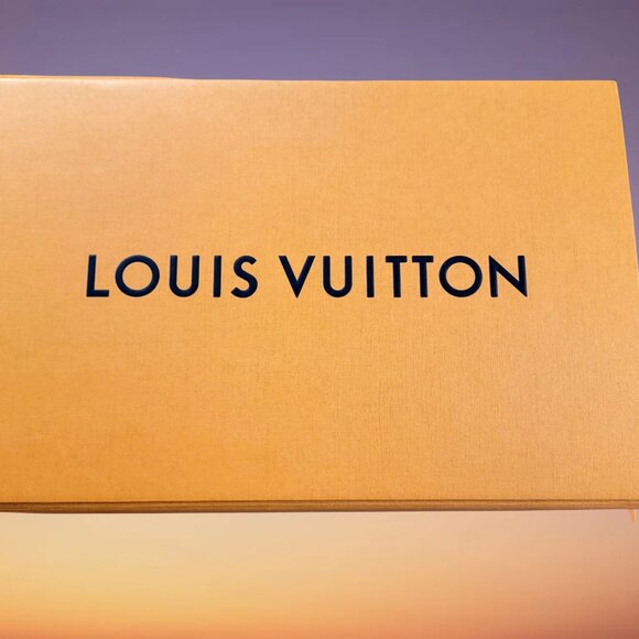 Louis Vuitton Other - Louis Vuitton Large empty storage box 12x8x2
